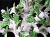 Restoration of Meisson's ''Children Under The Tree'' porcelain composition.