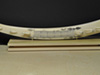 Seal's Tusk Ivory